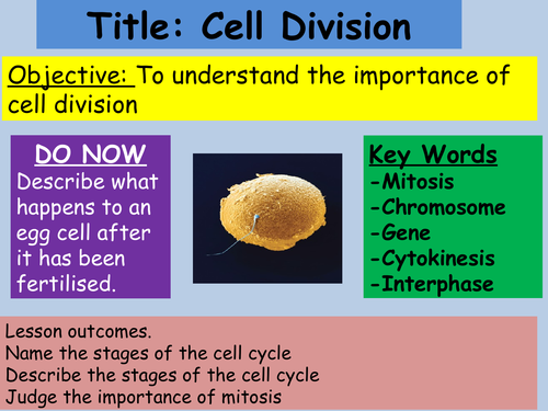new AQA B2.1 Cell division