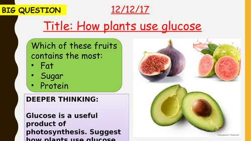 AQA new specification-How plants use glucose-B8.3