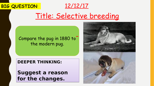 AQA new specification-Selective breeding-B14.3