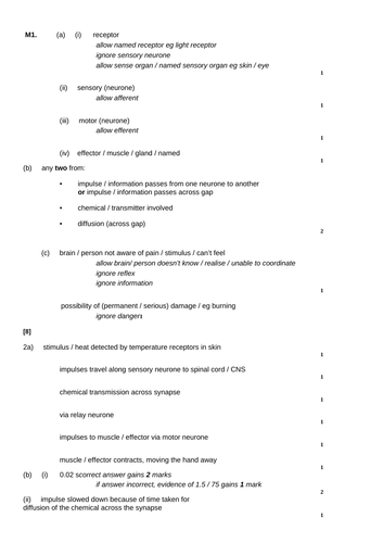 Reflex Action Gcse 9 1 Teaching Resources