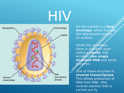 HIV and AIDS (AQA 5.7 and Spec point 3.2.4)