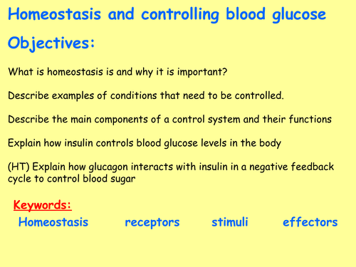 New AQA B5.1 (New Biology GCSE spec 4.5 - exams 2018) – Homeostasis and controlling blood glucose