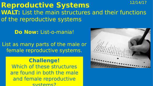 Reproductive systems KS3 lesson