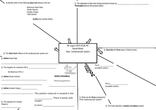 OCR GCSE PE Recall Wheel - Cardiovascular System