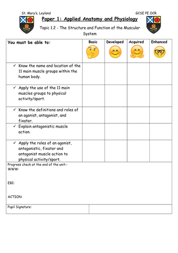 GCSE PE OCR - 1.2 The Structure and Function of the Muscular System