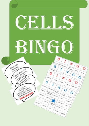 Biology Bingo: Animal and Plant Cells