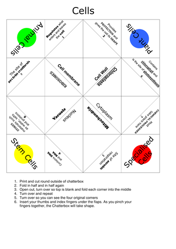 Biology Chatterbox/Cootie catcher: Cell structure and function