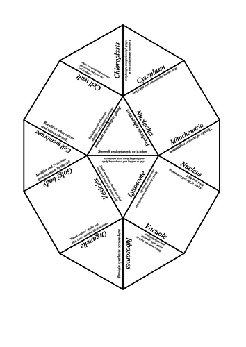 Biology Tarsia Puzzle and Game: Cell Structure and function