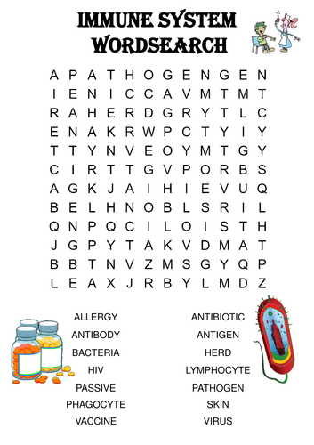 Biology Word Search The Immune System Includes Solution Teaching Resources