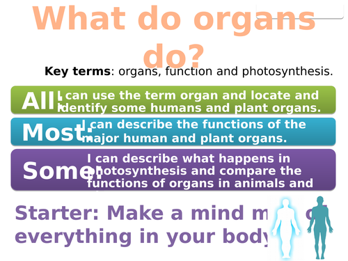 7Ab Organs -animal and plants (Exploring Science)