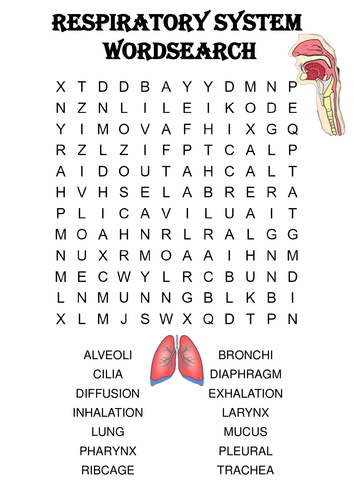 biology word search answers