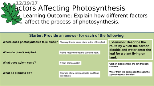 B2.3 AQA Plants and Photosynthesis - Factors Affecting Photosynthesis