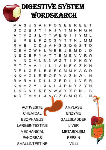 monitoring cardiaque foetal  Word search puzzle, Words, Word search