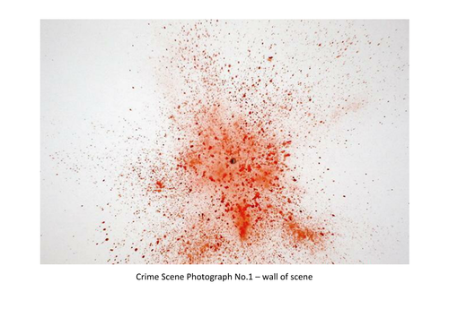 Forensic Who Killed Santa