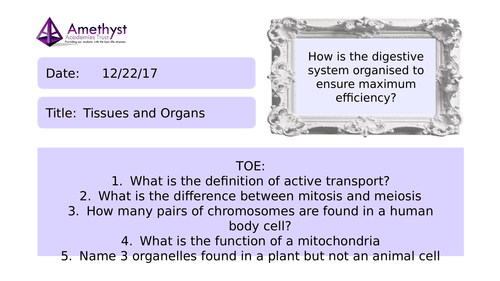Tissues and Organs - AQA (9-1)