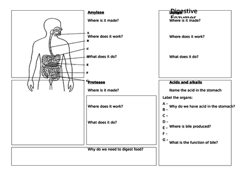 How The Digestive System Works With Required Practical Aqa 9 1 Teaching Resources