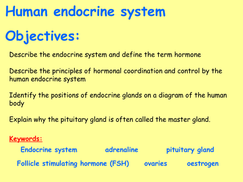 New AQA B5.6 (New Biology GCSE spec 4.5 - exams 2018) – Human endocrine system