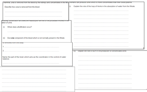 Kidneys, Ultrafiltration and Selective Reabsorption