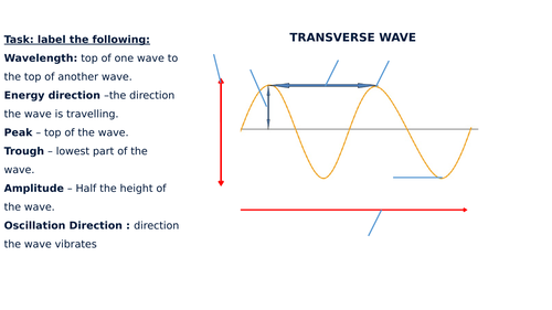 Transverse Longitudinal Wave Diagram Label Worksheets Differentiated