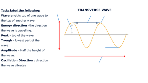 Transverse & Longitudinal Wave Diagram Label Worksheets (Differentiated)