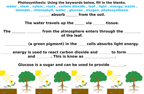Photosynthesis Fill in the Blanks Worksheets (Differentiated)