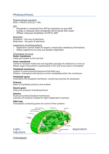 BIO Alevel (Edexcel SNAB)  Revision Notes - Topic 5, On the wild side