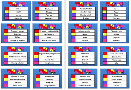 GCSE PE - Revision Board Game - Covers all topics in Component 1 - Edexcel