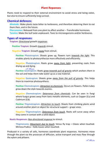 Plant Responses Notes