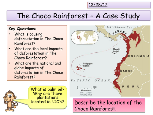 A Tropical Rainforest - The Choco Rainforest