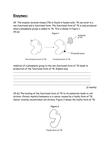 AQA A LEVEL BIOLOGY - ENZYMES EXAM QUESTION BANK
