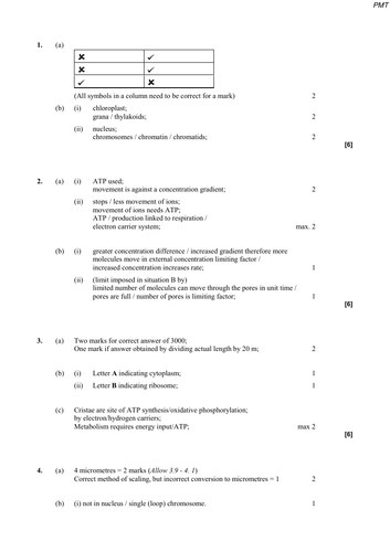 AQA A LEVEL BIOLOGY - TRANSPORT ACROSS MEMBRANES EXAM BANK