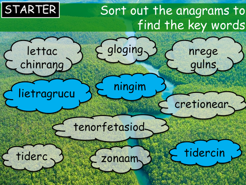 Ecosystems & Biomes (Rainforest focus) - part 3