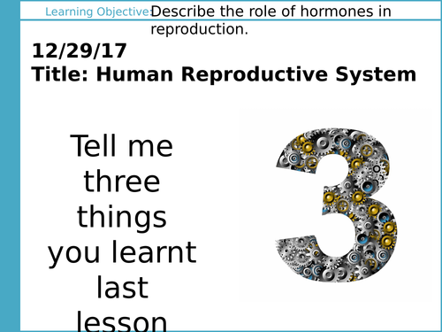 AQA GCSE: B11 Hormonal Coordination: L5 Human Reproduction