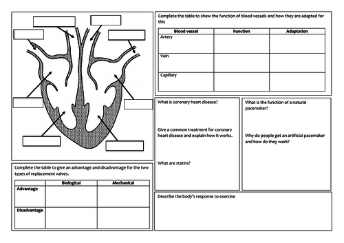GCSE Biology revision mat - The heart