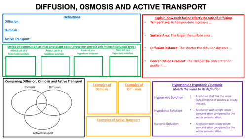 GCSE Diffusion Osmosis and Active Transport Learning Mat