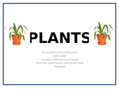 Plants - PowerPoint | Teaching Resources