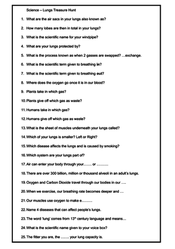 Lungs - Respiratory System - Scavenger Hunt