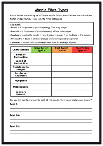 GCSE PE - Types of Muscle Fibre - Worksheet and Extended Answer question