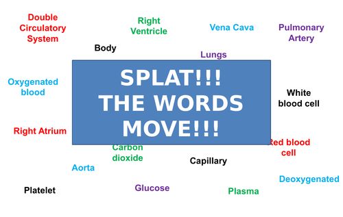 Circulatory System | Moving Splat!!! | Game | Revision