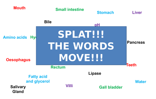 Digestive System | Moving Splat!!! | Game | Revision