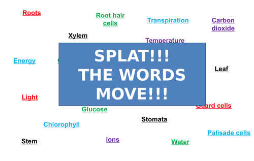 Photosynthesis | Moving Splat!!! | Game | Revision