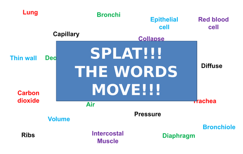 Respiratory System | Moving Splat!!! | Game | Revision