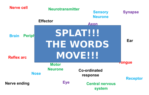 Nervous System | Moving Splat!!! | Game | Revision