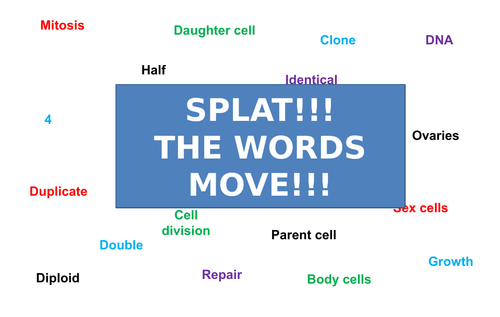Mitosis & Meiosis | Moving Splat!!! | Game | Revision
