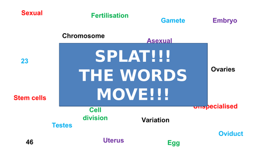 Reproduction | Moving Splat!!! | Game | Revision