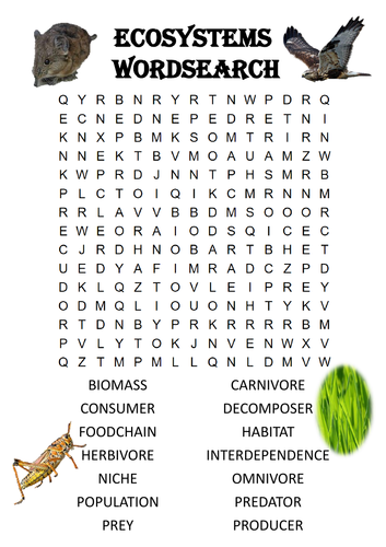 biology word search answers