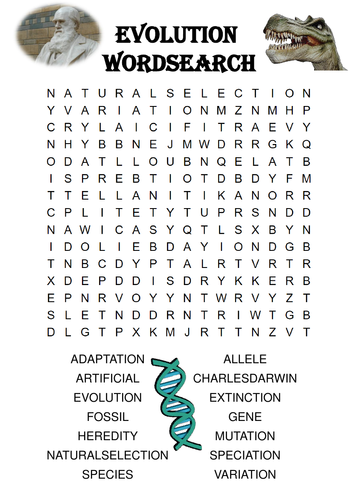 Biology word search Puzzle: Evolution (Includes answer key)