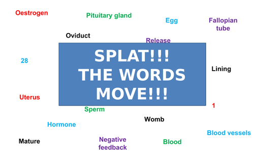 Menstrual Cycle | Moving Splat!!! | Game | Revision