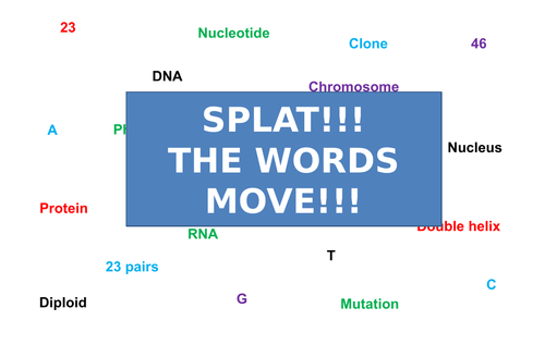 DNA Structure | Moving Splat!!! | Game | Revision