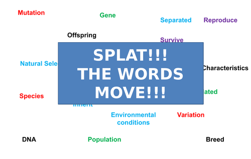 Speciation | Moving Splat!!! | Game | Revision